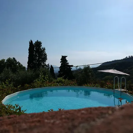 Leoni Capannori